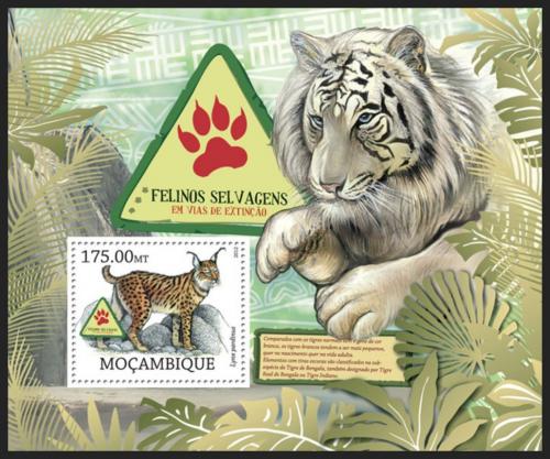 Poštová známka Mozambik 2012 Maèkovité šelmy na cestì k vyhynutí Mi# Block 636 10€