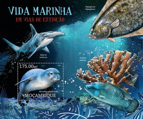 Poštová známka Mozambik 2012 Morská fauna na cestì k vyhynutí Mi# Block 637 Kat 10€