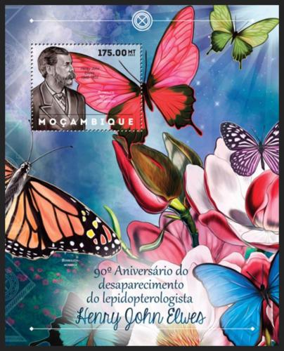 Poštová známka Mozambik 2012 Motýle, Henry John Elwes Mi# Block 685 Kat 10€