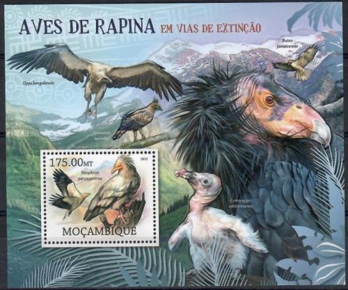 Poštová známka Mozambik 2012 Dravci na cestì k vyhynutí Mi# Block 632 Kat 10€