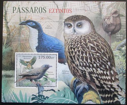 Poštová známka Mozambik 2012 Vyhynulí ptáci Mi# Block 627 Kat 10€