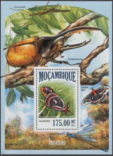 Poštová známka Mozambik 2013 Hmyz Mi# Block 829 Kat 10€