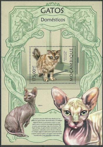 Poštová známka Mozambik 2013 Maèky Mi# Block 710 Kat 10€