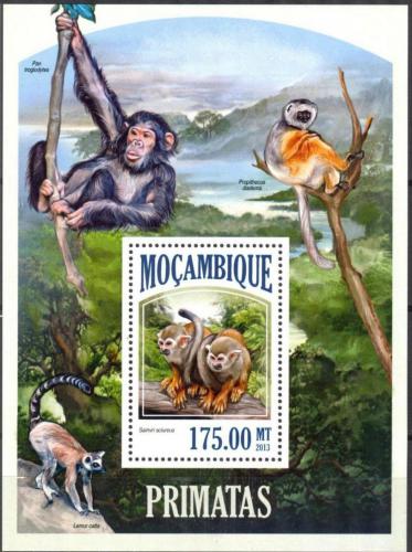 Poštová známka Mozambik 2013 Opice Mi# Block 806 Kat 10€
