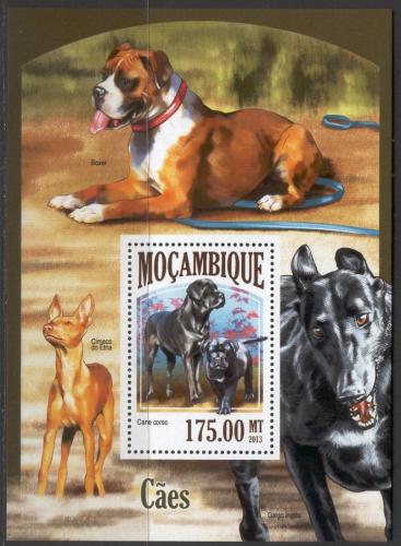 Poštová známka Mozambik 2013 Psy Mi# Block 836 Kat 10€ 