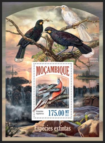 Poštová známka Mozambik 2013 Vtáci Mi# Block 832 Kat 10€