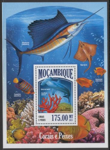 Poštová známka Mozambik 2013 Ryby a korály Mi# Block 830 Kat 10€