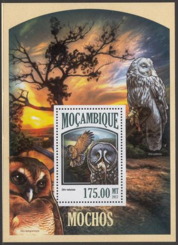 Poštová známka Mozambik 2013 Sovy Mi# Block 803 Kat 10€