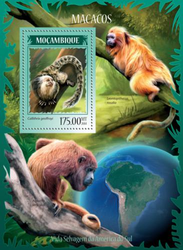 Poštová známka Mozambik 2014 Opice Mi# Block 917 Kat 10€