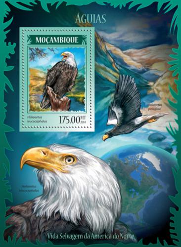 Poštová známka Mozambik 2014 Orli Mi# Block 898 Kat 10€