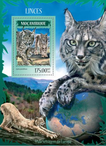 Poštová známka Mozambik 2014 Rysi Mi# Block 912 Kat 10€
