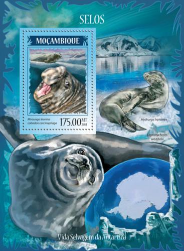 Poštová známka Mozambik 2014 Tulene Mi# Block 907 Kat 10€