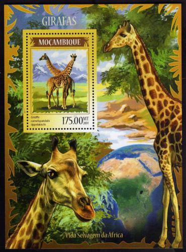 Poštová známka Mozambik 2014 Žirafy Mi# Mi# Block 904 Kat 10€