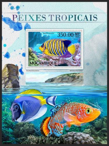 Poštová známka Mozambik 2016 Tropické ryby Mi# Block 1220 Kat 20€