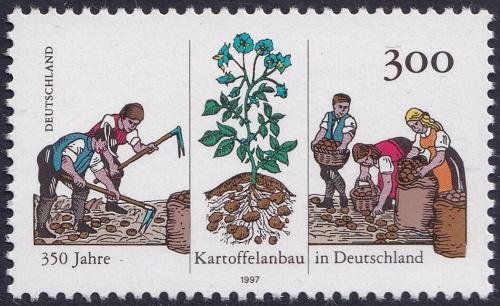 Potov znmka Nemecko 1997 Kultivace brambor Mi# 1946 - zvi obrzok