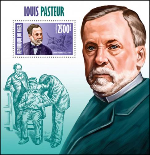 Poštová známka Niger 2013 Louis Pasteur, biolog Mi# Block 207 Kat 10€
