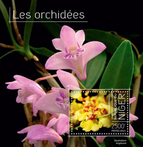 Poštová známka Niger 2013 Orchideje Mi# Block 248 Kat 10€
