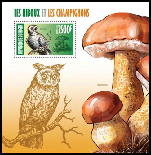 Poštová známka Niger 2013 Sovy a huby Mi# Block 197 Kat 10€