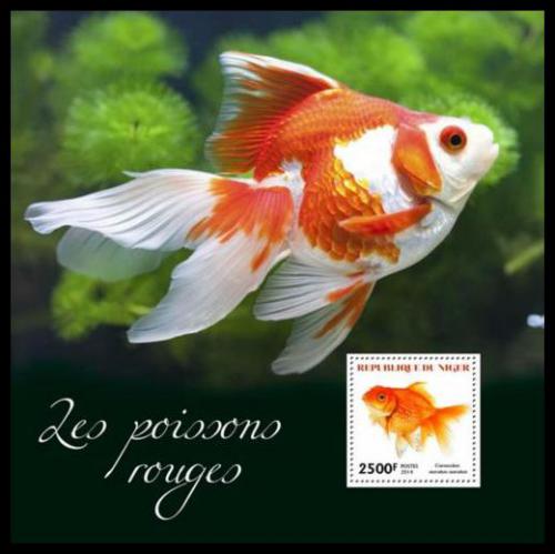 Poštová známka Niger 2014 Akvarijní ryby Mi# Block 327 Kat 10€