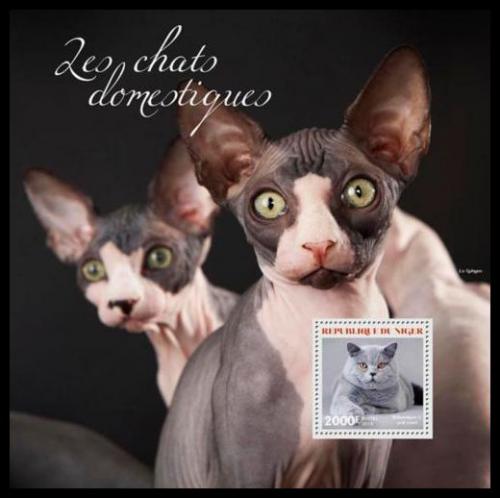 Poštová známka Niger 2014 Domácí maèky Mi# Block 323