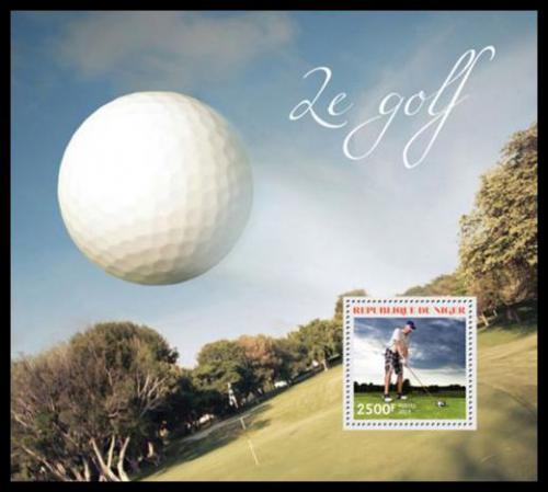Poštová známka Niger 2014 Golf Mi# Block 341 Kat 10€