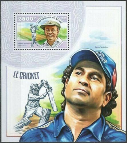 Poštová známka Niger 2014 Kriket Mi# Block 362 Kat 10€ 