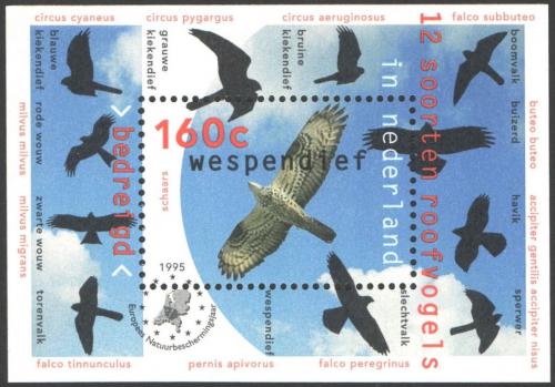 Poštová známka Holandsko 1995 Dravci Mi# Block 44
