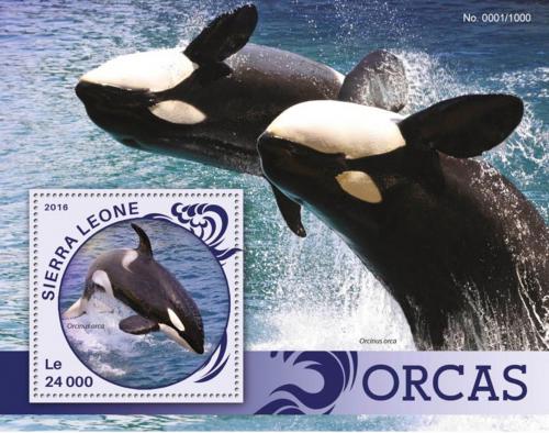 Poštová známka Sierra Leone 2016 Kosatky Mi# Block 906 Kat 11€