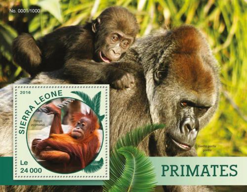 Poštová známka Sierra Leone 2016 Opice Mi# Block 914 Kat 11€