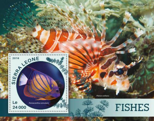 Poštová známka Sierra Leone 2016 Ryby Mi# Block 896 Kat 11€
