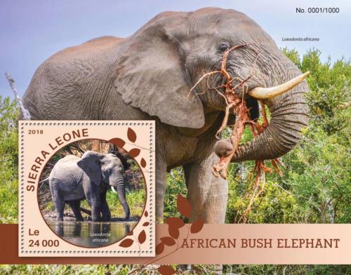 Poštová známka Sierra Leone 2016 Slony Mi# Block 908 Kat 11€