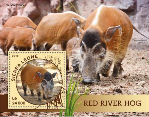Poštová známka Sierra Leone 2016 Štìtkoun africký Mi# Block 910 Kat 11€