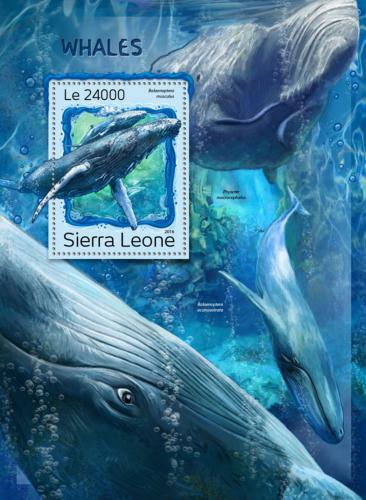 Poštová známka Sierra Leone 2016 Ve¾ryby Mi# Block 1130 Kat 11€