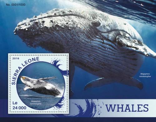 Poštová známka Sierra Leone 2016 Ve¾ryby Mi# Block 905 Kat 11€