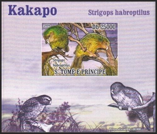 Potov znmka Svt Tom 2009 Kakapo sov DELUXE neperf. Mi# 3886 B Block - zvi obrzok