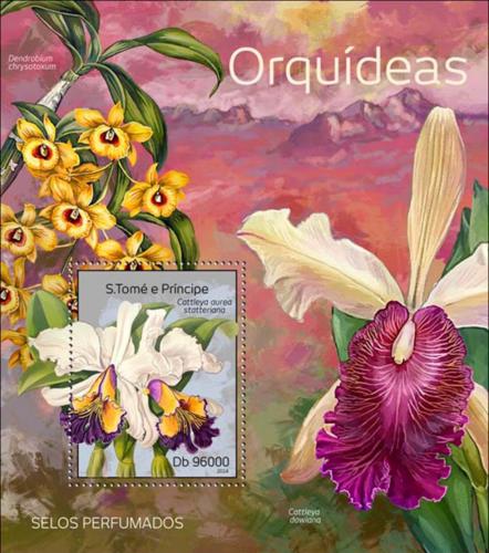 Poštová známka Svätý Tomáš 2014 Orchideje Mi# Block 974 Kat 10€