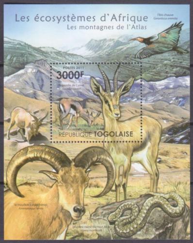 Poštová známka Togo 2011 Fauna pohoøí Atlas Mi# Block 652 Kat 12€