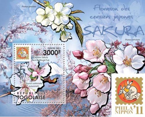 Poštová známka Togo 2011 Sakury Mi# Block 623 Kat 12€