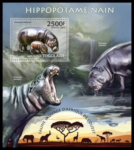 Poštová známka Togo 2013 Hrochy Mi# Block 789 Kat 10€