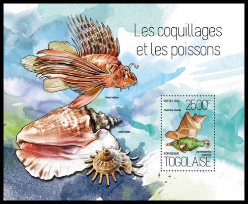 Poštová známka Togo 2013 Mušle a ryby Mi# Block 902 Kat 10€