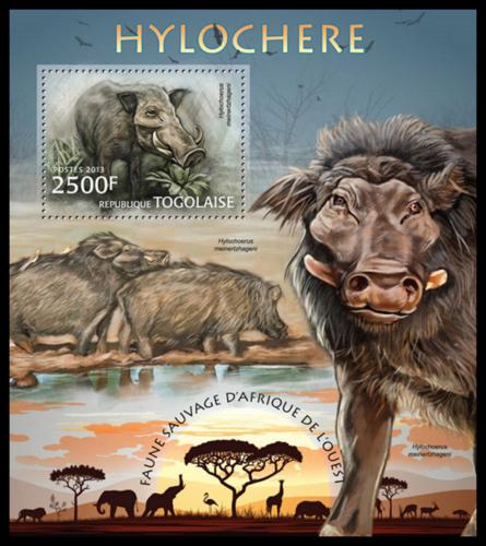 Poštová známka Togo 2013 Prase pralesní Mi# Block 786 Kat 10€