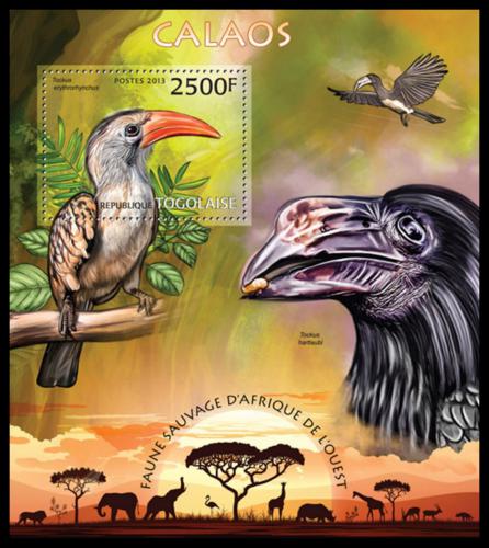 Poštová známka Togo 2013 Zoborožci Mi# Block 779 Kat 10€