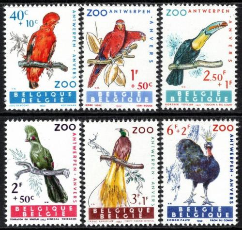 Poštové známky Belgicko 1962 Vtáci Mi# 1276-81
