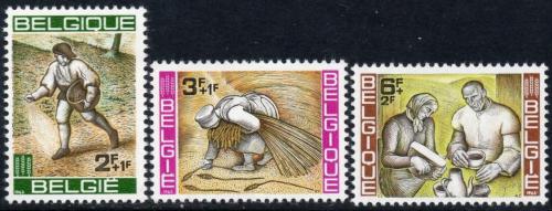 Poštové známky Belgicko 1963 Boj proti hladu Mi# 1303-05