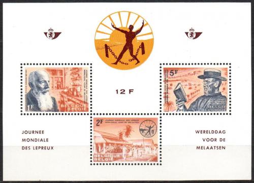 Poštové známky Belgicko 1964 Boj proti malomocenství Mi# Block 29