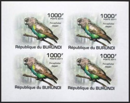 Potov znmky Burundi 2011 Papouek lutotemenn neperf. Mi# 1975 B Bogen