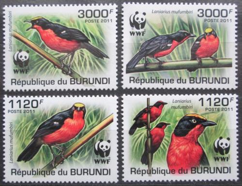 Poštové známky Burundi 2011 �uhýkovec papyrusový, WWF Mi# 2126-29 b Kat 9.50€