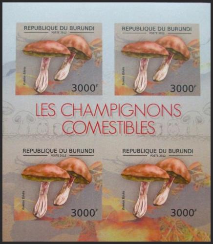 Potov znmky Burundi 2012 Hib smrkov neperf. Mi# 2741 B Bogen - zvi obrzok