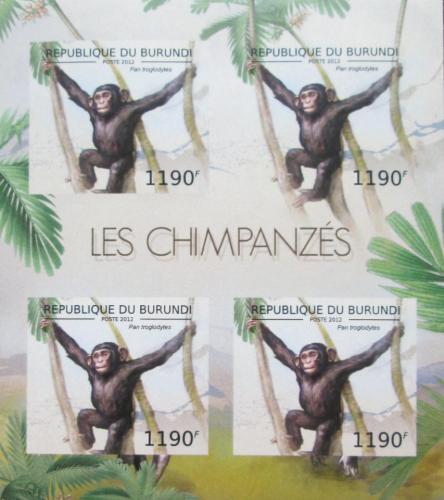 Poštové známky Burundi 2012 Šimpanz uèenlivý neperf. Mi# 2854 B Bogen