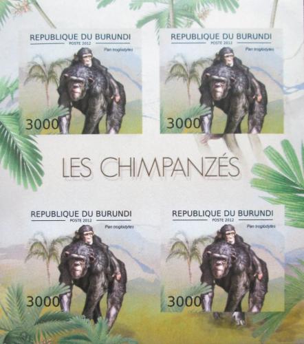 Poštové známky Burundi 2012 Šimpanz uèenlivý neperf. Mi# 2855 B Bogen